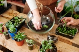 Atelier Terrarium avec Boby la Plante
